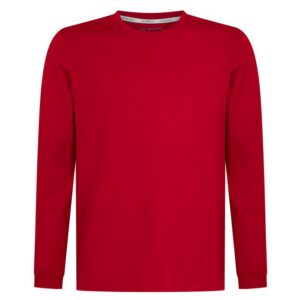 Polera Essential Soft Manga Larga Hombre
